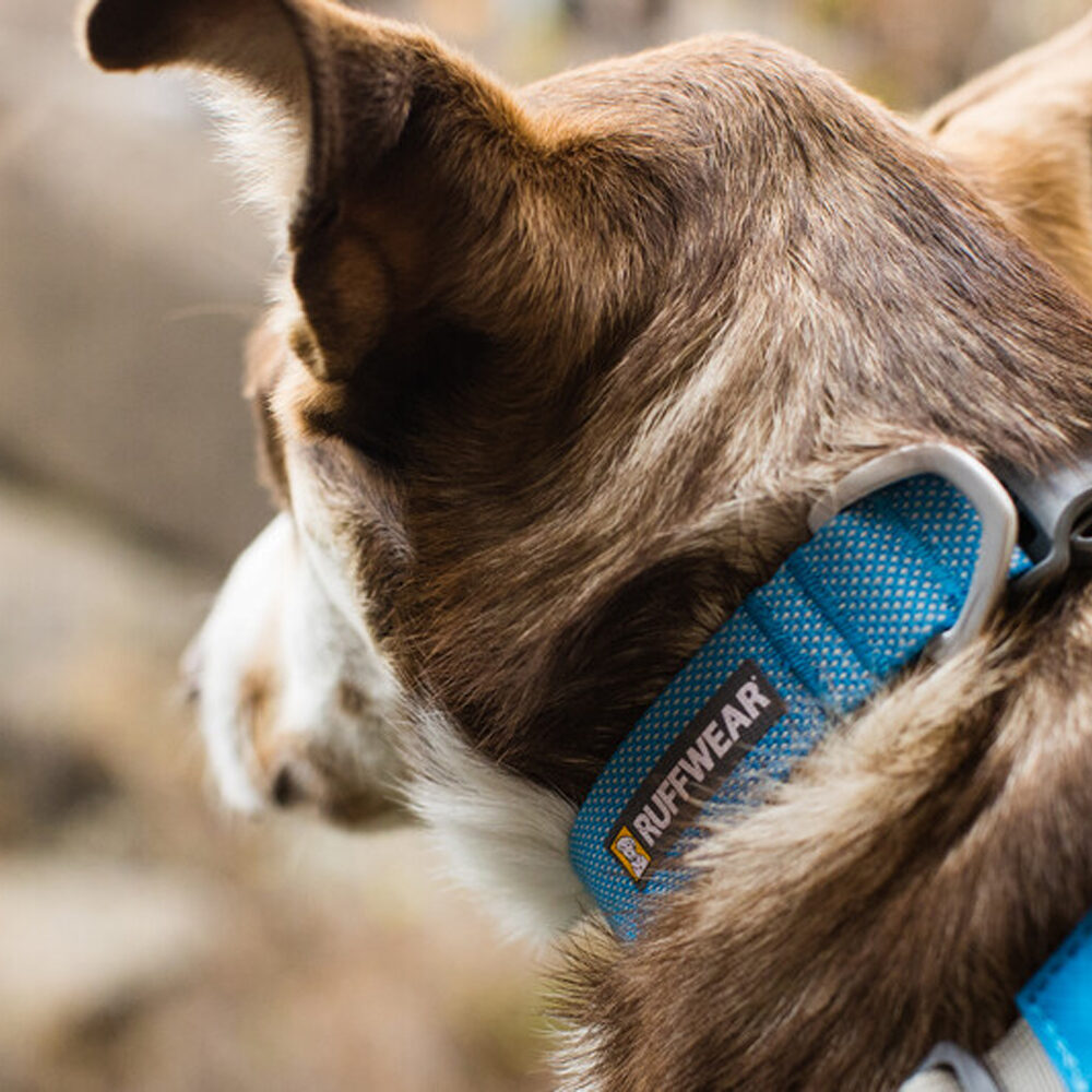 Ruffwear Hi & Light Collar