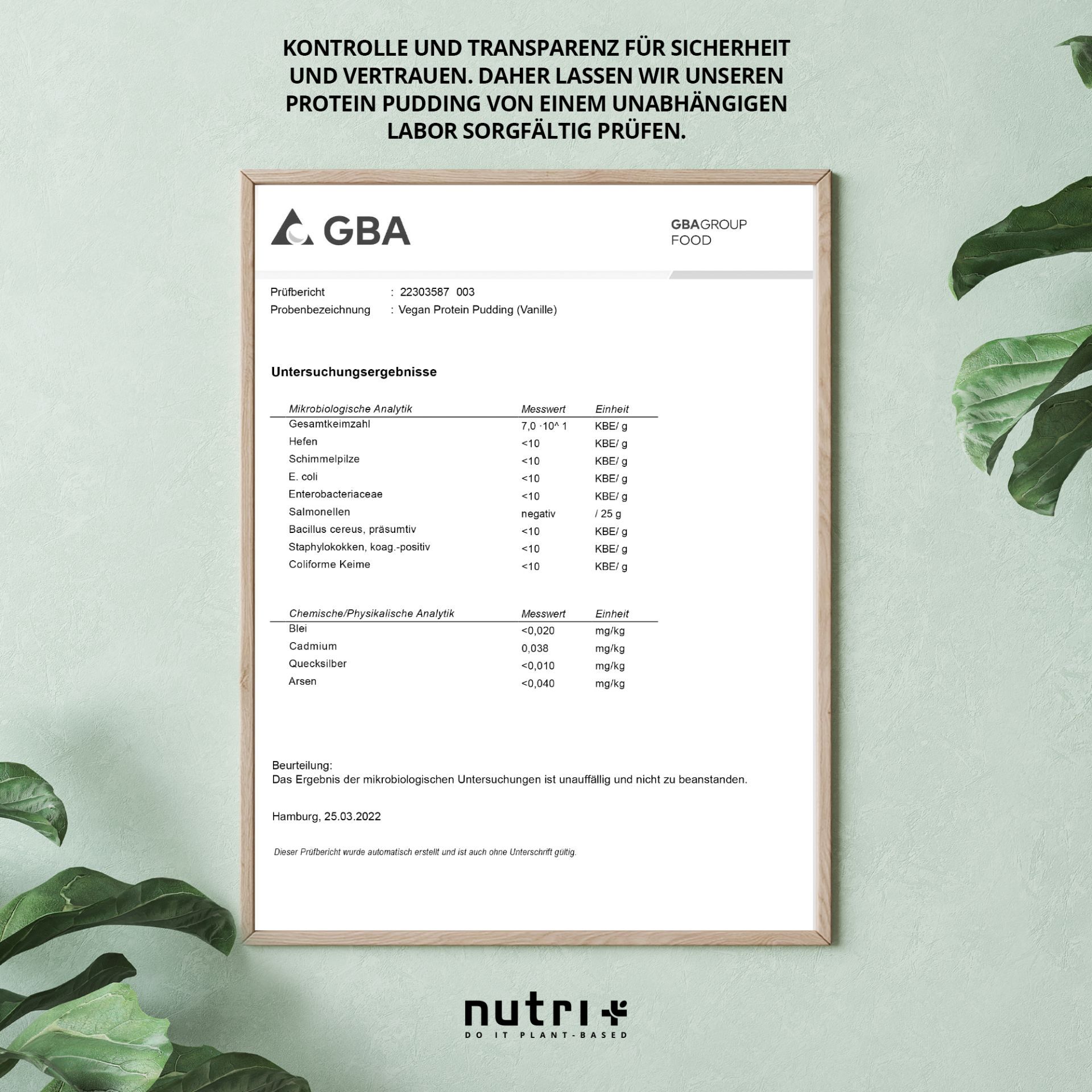 Nutri+ Vhey Pudding - vegan