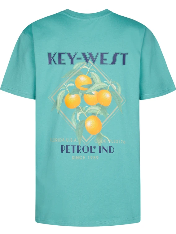 Petrol T-shirt M-1050-TSR649