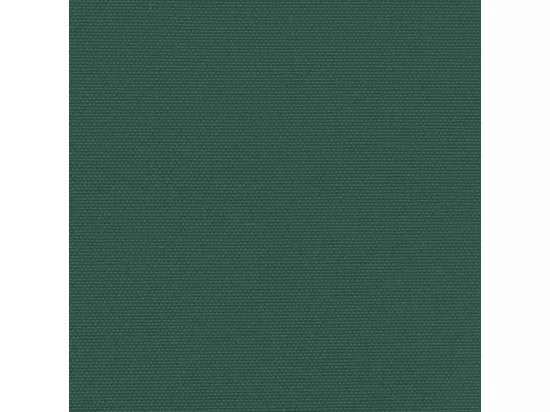 Auvent latéral rétractable vert foncé 180x600 cm