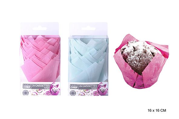 CAISSETTE TULIPE COULEUR 16X16CM X24PCS