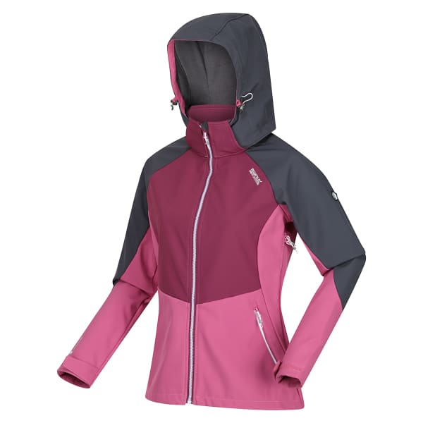 Softshell randonnée REGATTA W DESOTO VIII SLGRY/AMARHZ