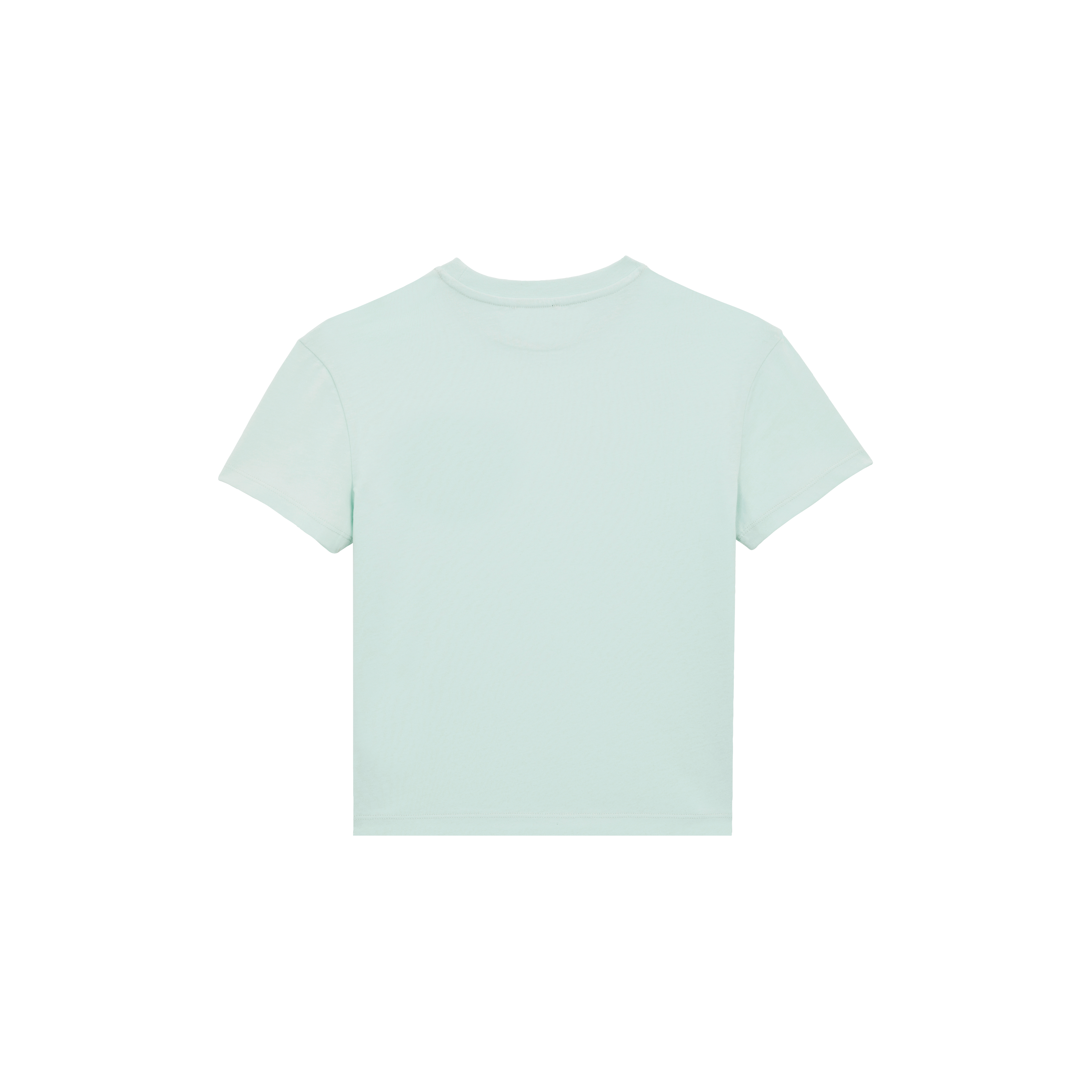 T-shirt en coton organique garçon Tortue brodée