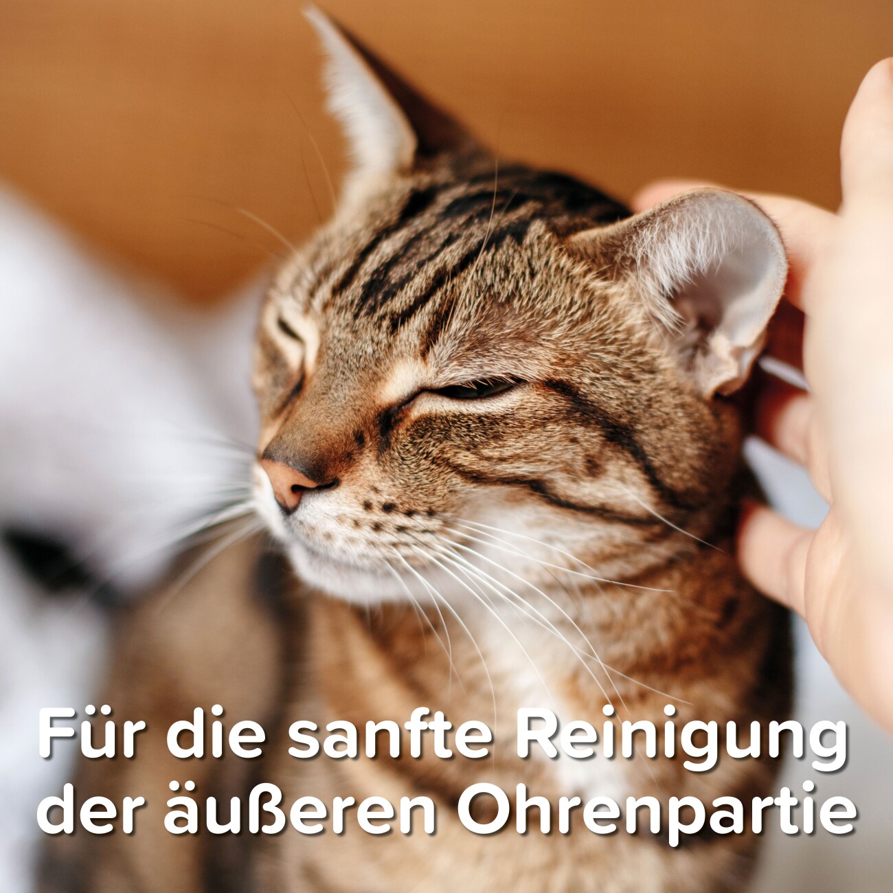 Beaphar Sensitiv Ohrenreiniger 50ml