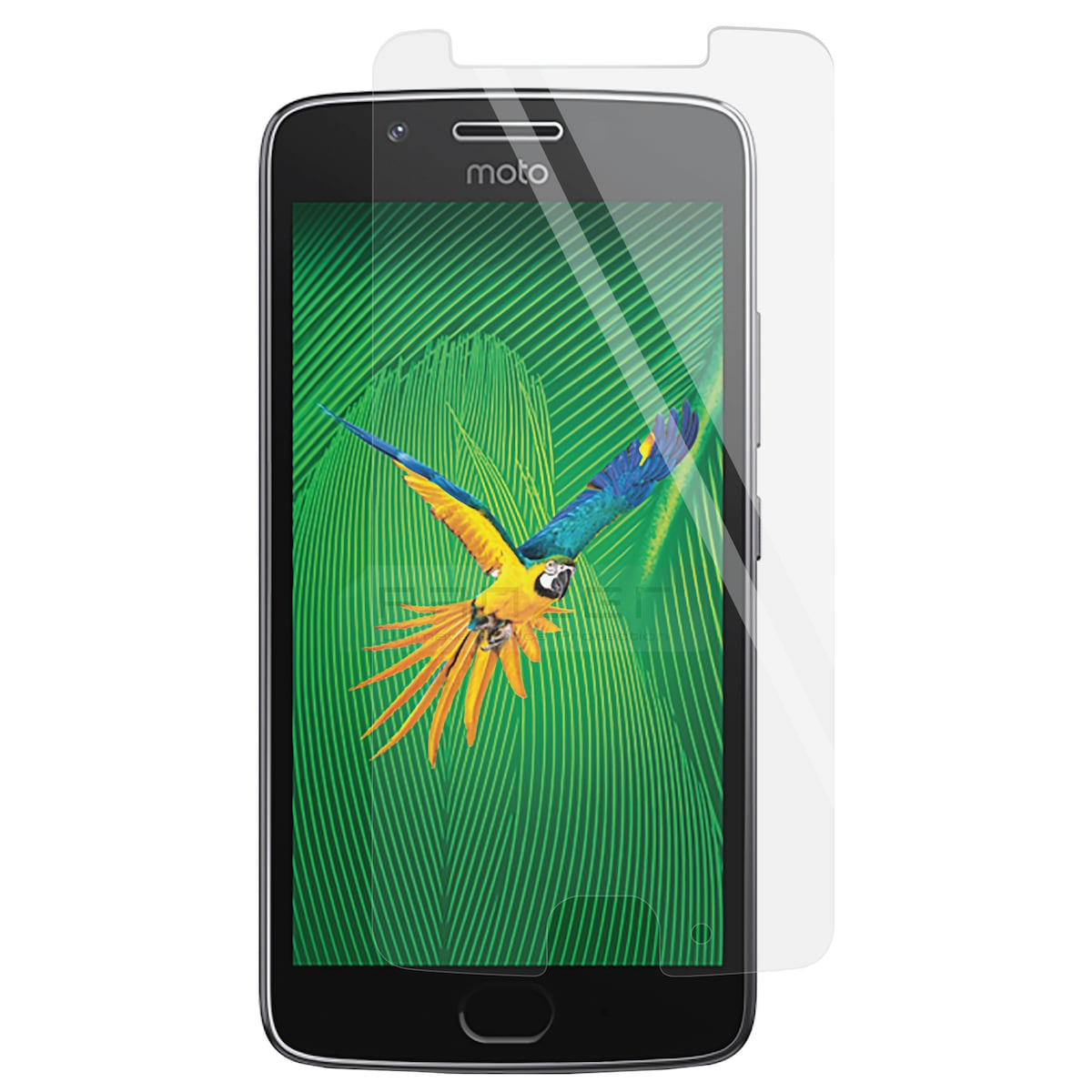 Panzer skjermbeskyttelse for Motorola G5