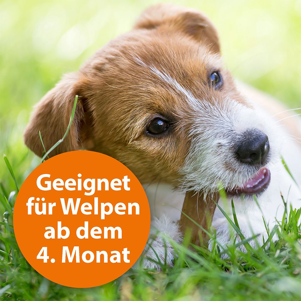 ARDAP® Zecken- und Flohhalsband für große Hunde
