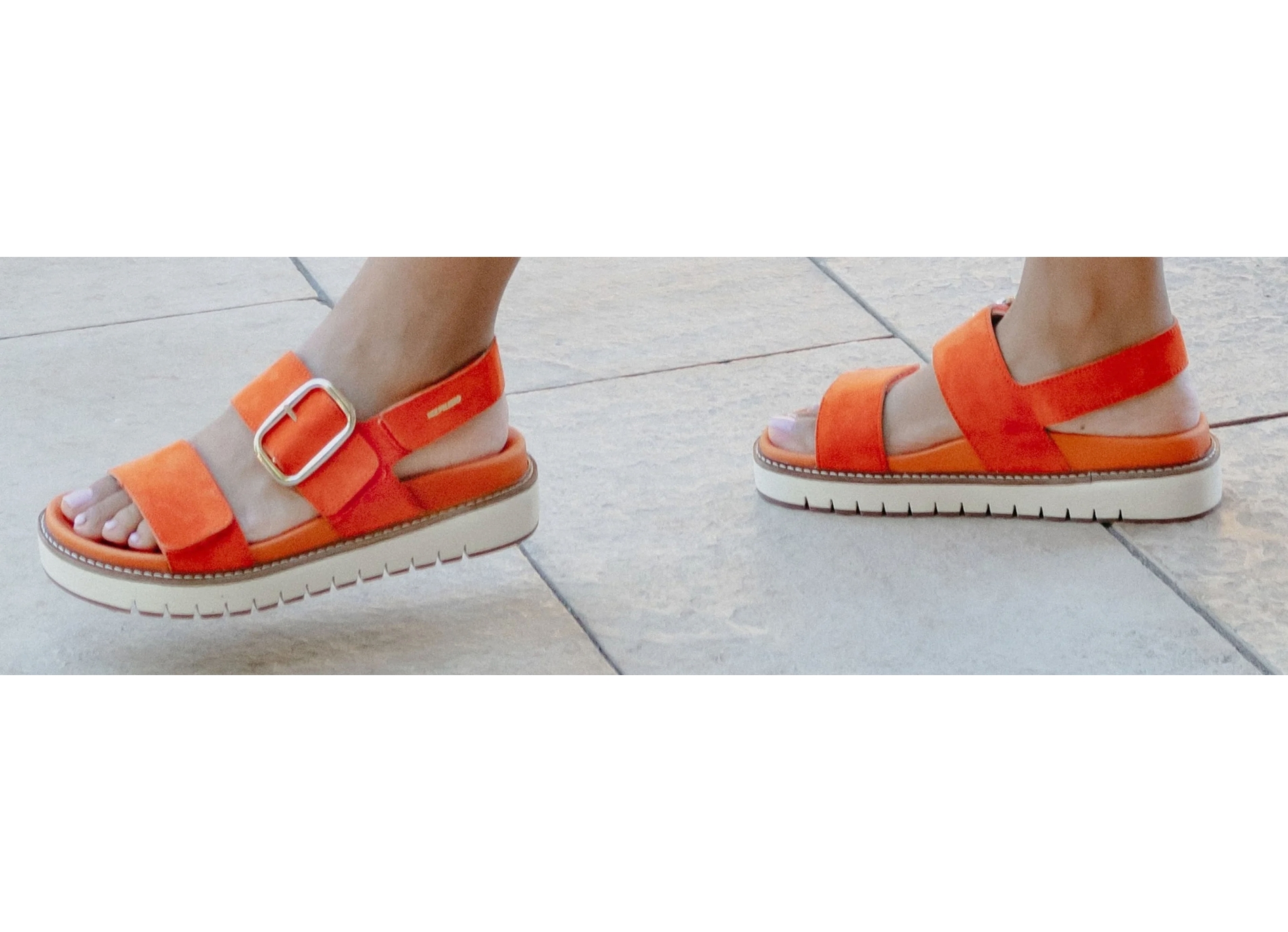 Belona orange