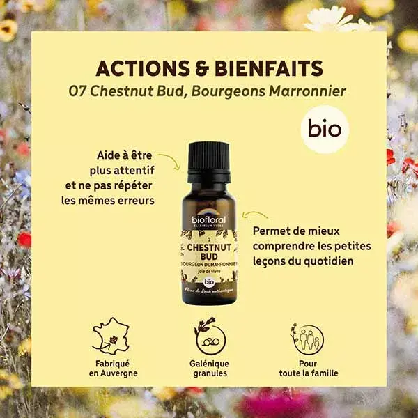 Biofloral 07 Chestnut Bud - Floral de Bach Orgânico 19,5g