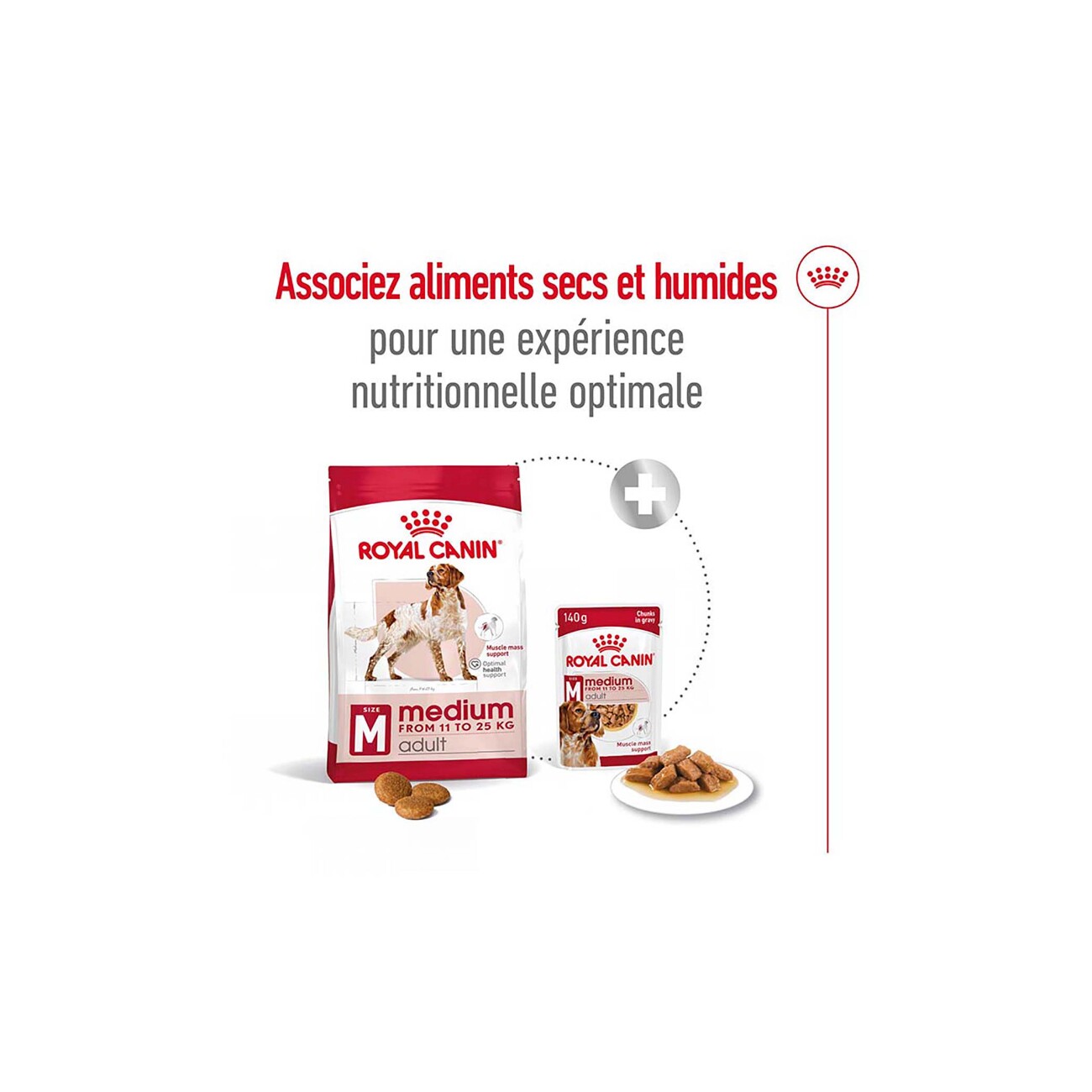 ROYAL CANIN Medium Adult in Soße 10x140 g