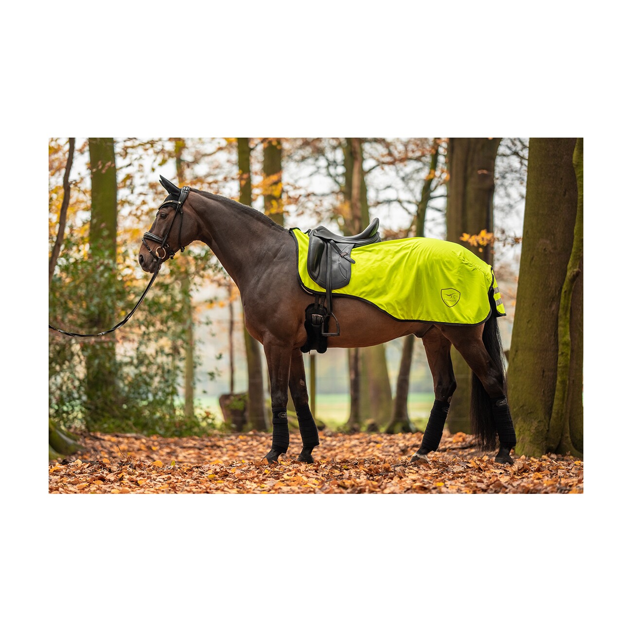 Equinate Ausreitdecke Reflective mit Fleeceinnenfutter neon gelb 1,5 m