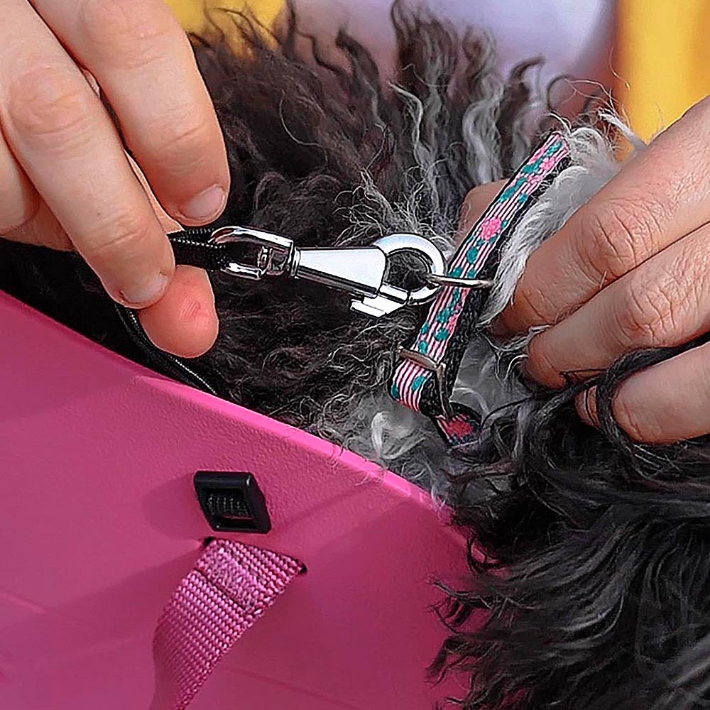 With-me small sac de transport chiens chat en caoutchouc différentes couleurs sac mode ferplast