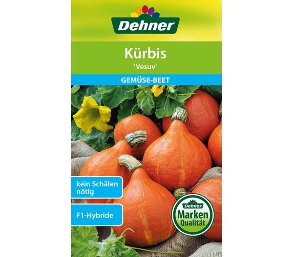 Dehner Samen Kürbis 'Vesuv'