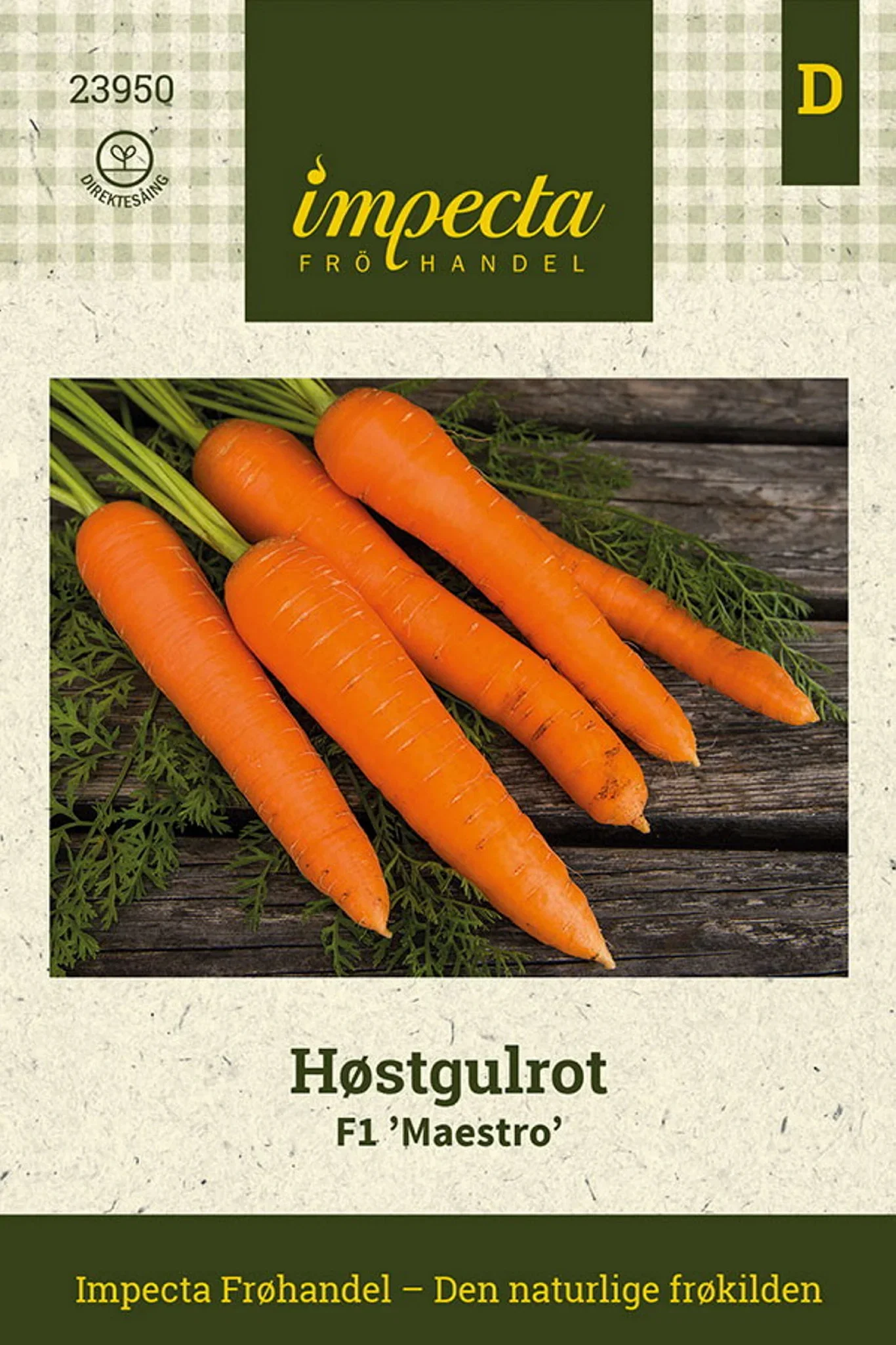 Daucus carota F1 'Maestro' Høstgulrot F1 'Maestro'
