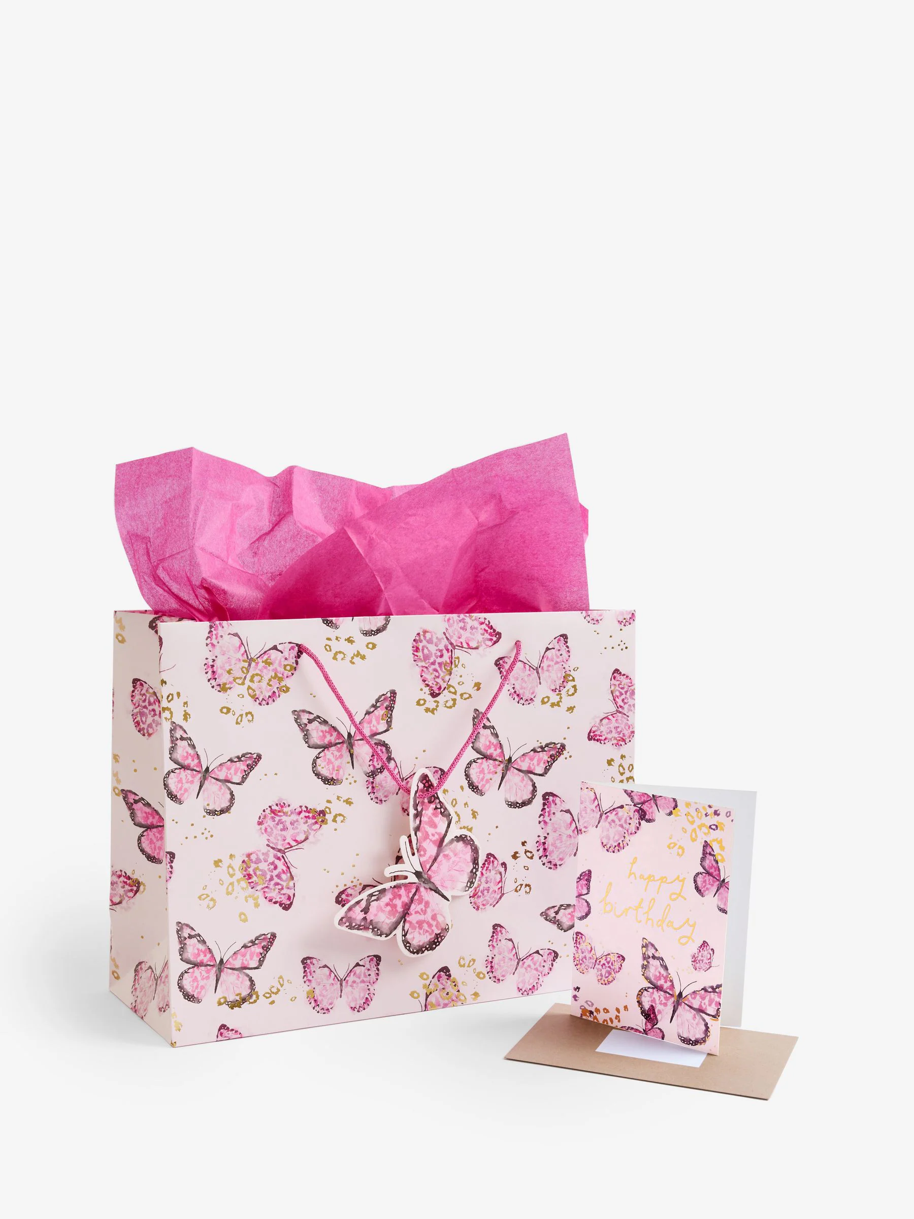 Large Butterfly Gift Bag and Card Set