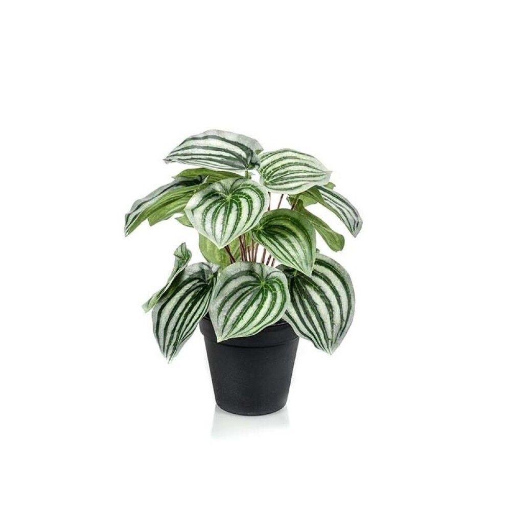 KUNSTIG PLANTE EMERALD PEPEROMIA I POTTE 25CM