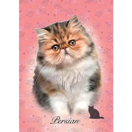 Educa Puzzle Perserkatze 100 Teile