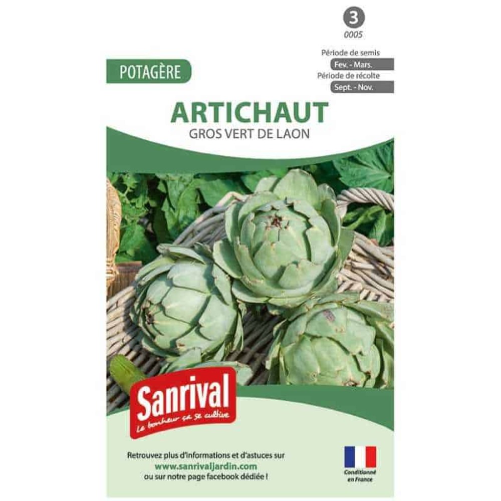 Graines artichaut gros vert de laon