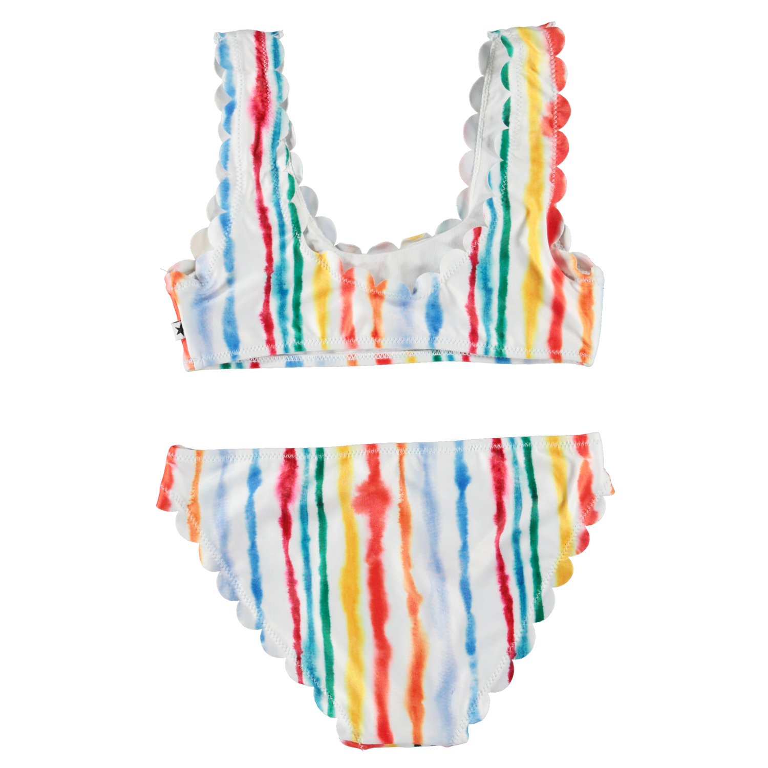 Nolina - Watercolours