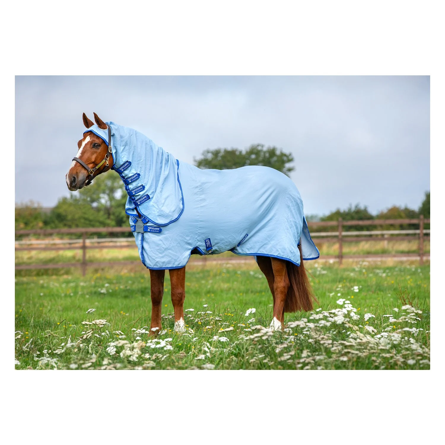 HORSEWARE Fliegendecke AMIGO Ripstop Hoody  - azure blue/silver