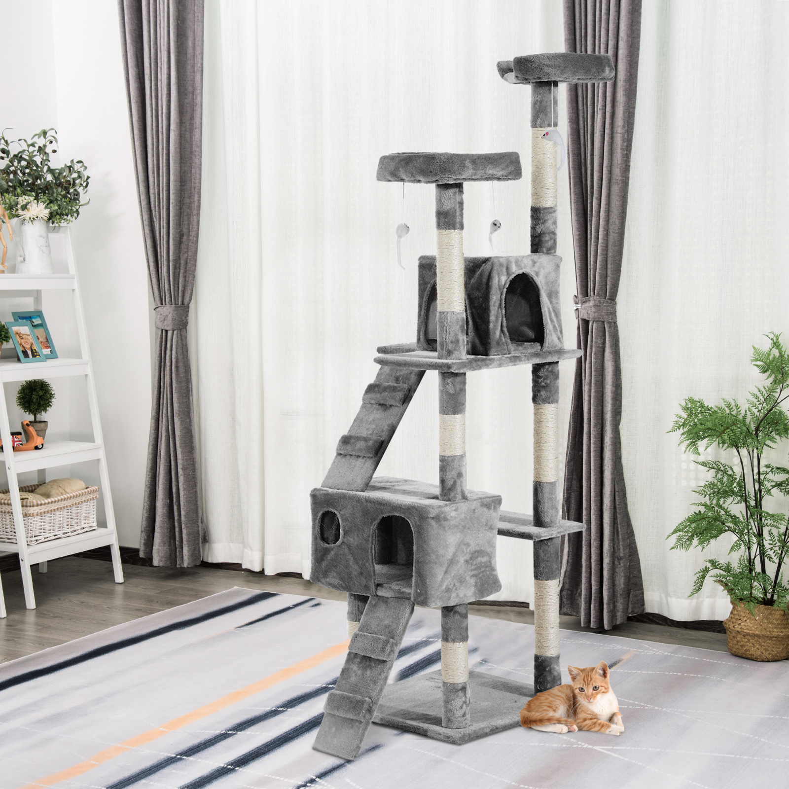 Gato Pawhut arranhando árvore com ratos cinzentos