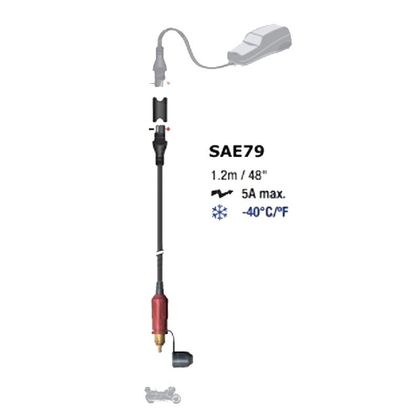 Connecteur Tecmate MALE DIN POUR BMW ET TRIUMPH Universel
