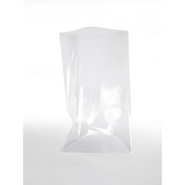 Lot sachets transparents graine creative 18x30 cm 10   unites