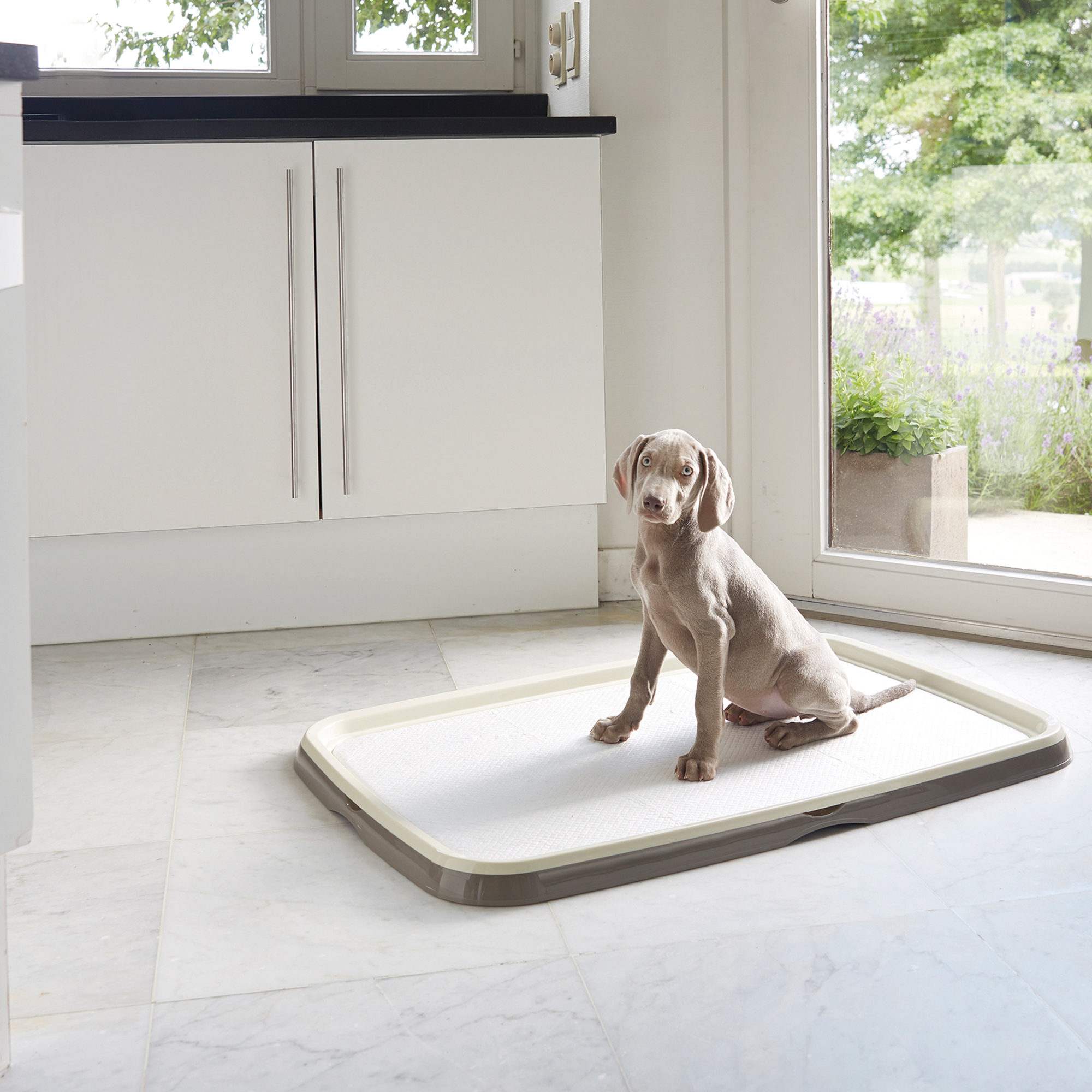 Savic Puppy Trainer + Pads