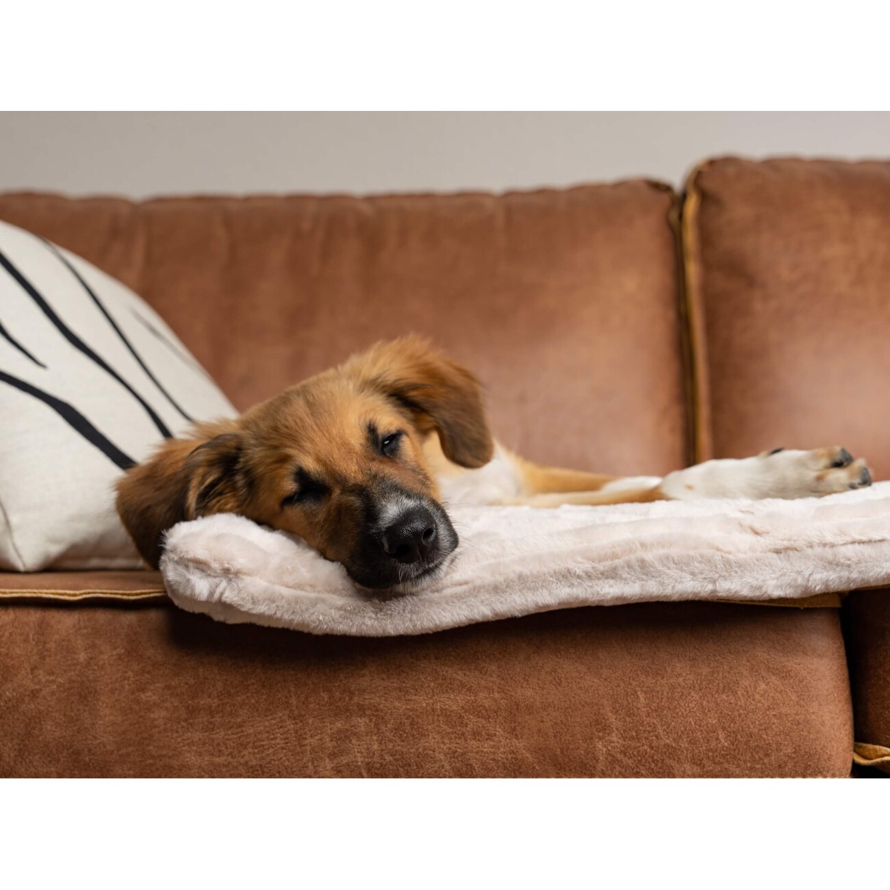 TrendPet Harmony gefütterte Liegedecke creme XS