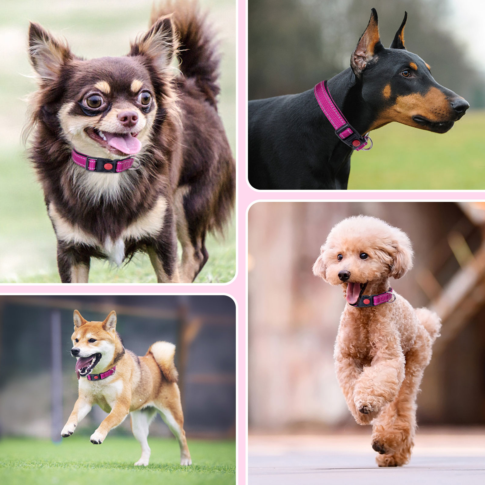 Nobleza - 2 coleiras para cães, coleira de nylon macia e acolchoada com detalhes refletivos, coleira ajustável para cães grandes com trava de segurança, coleiras para treinamento de cães (G, rosa)