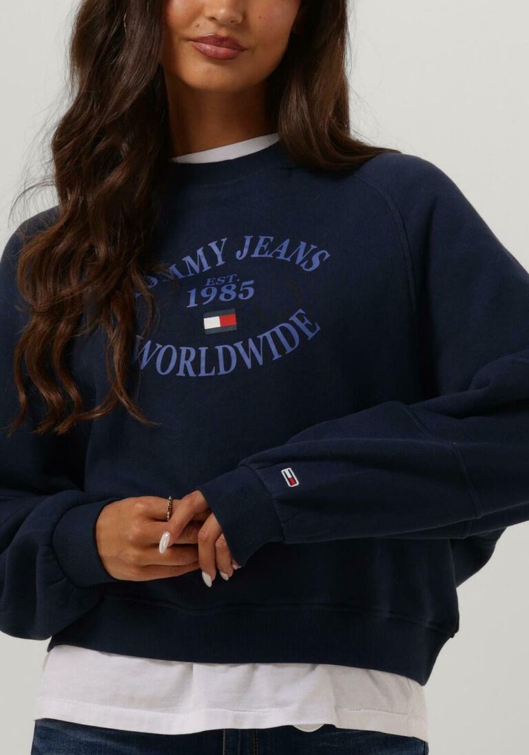 TOMMY JEANS donkerblauwe tommy jeans trui rlx worldwide raglan crew