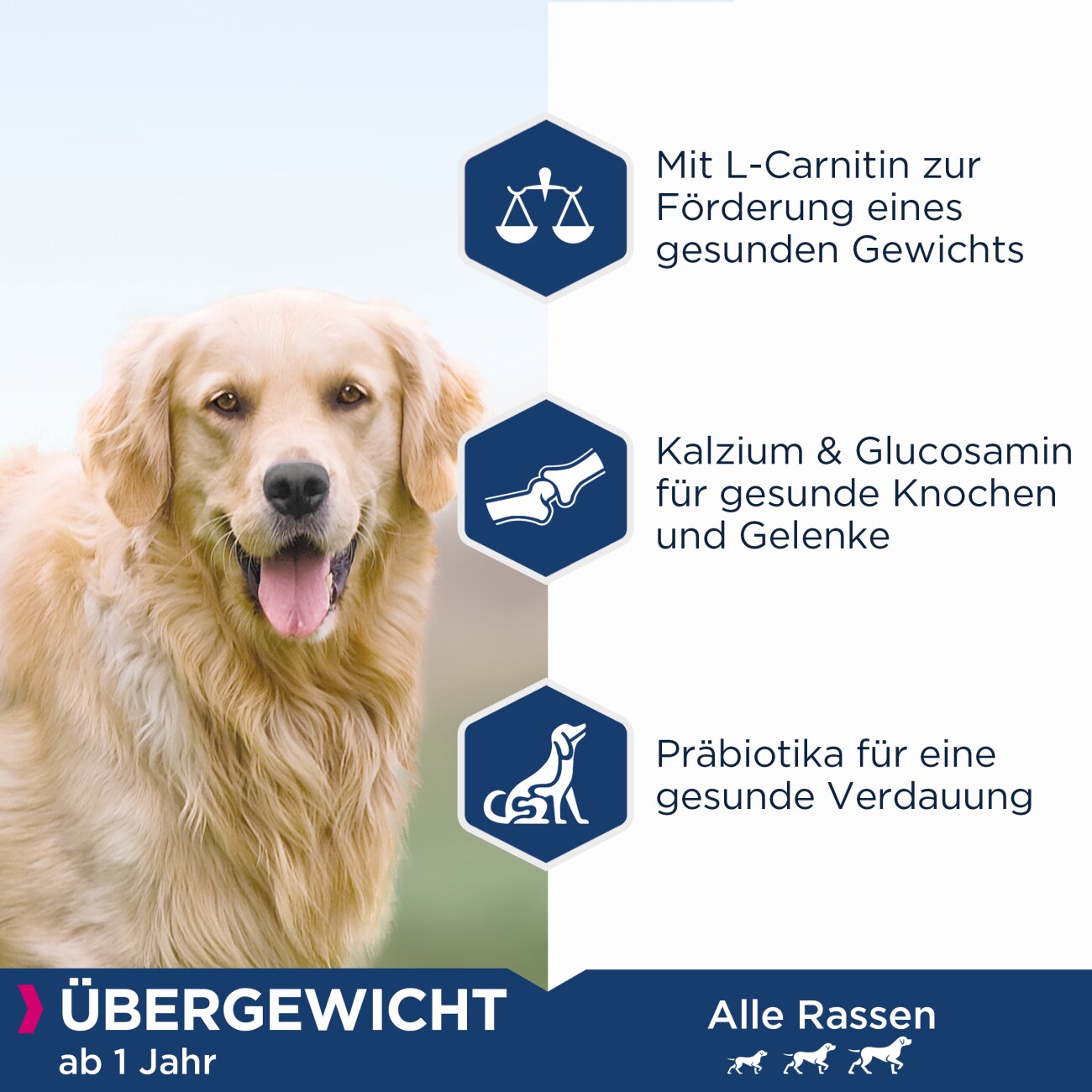 EUKANUBA Trockenfutter Hund Daily Care Übergewichtig, kastriert Adult 12 kg