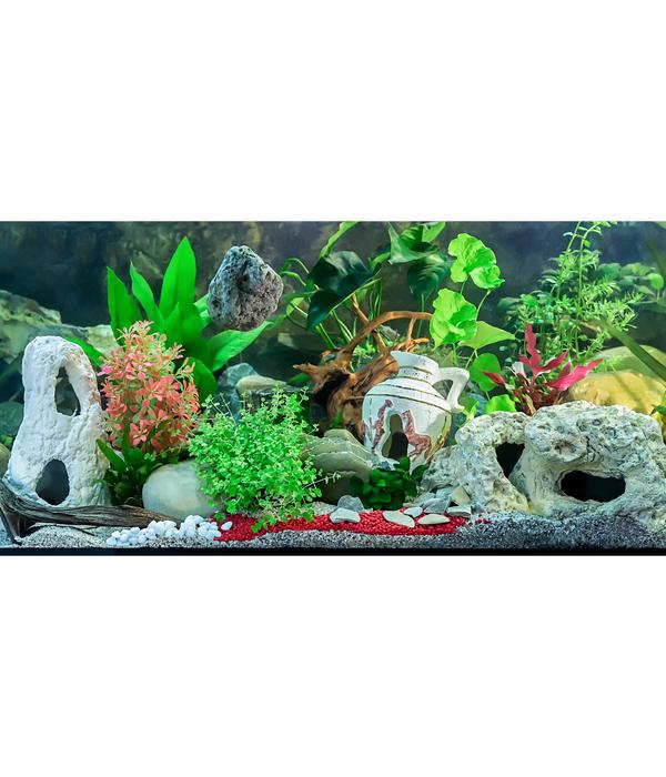 Orbit Finger Wurzel XS, ca. B15-20 cm
