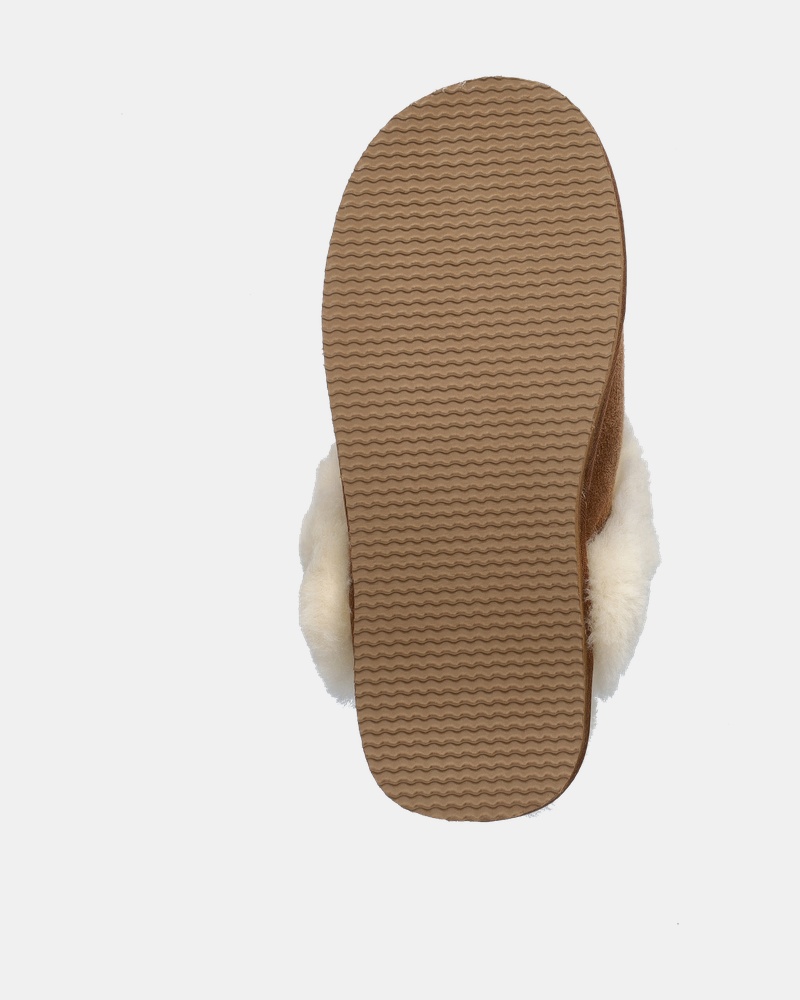 Shepherd Pantoffels  - cognac