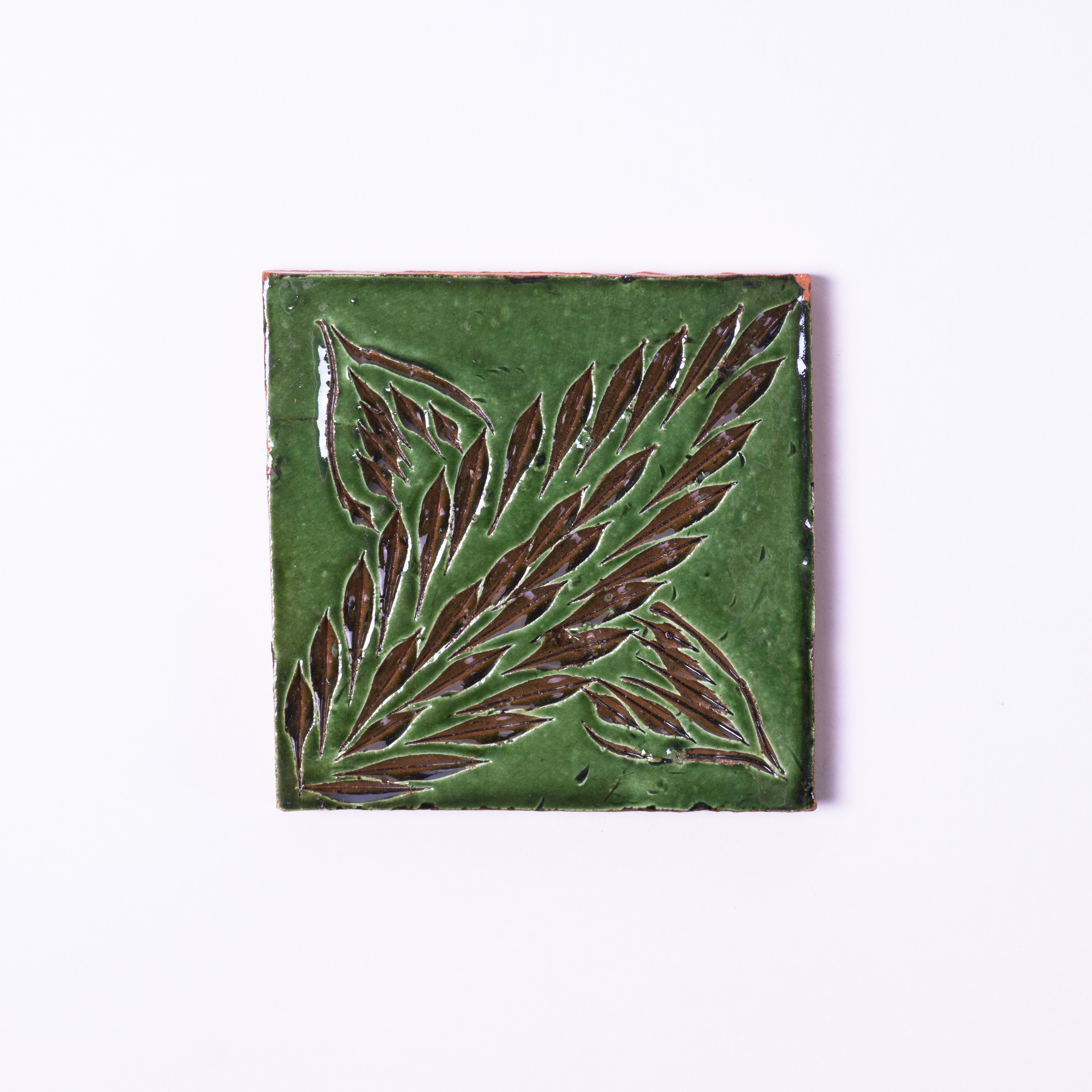 Geprägte Fliese 'Côte des plantes vert', grün, L 10 cm, B 10 cm von fischer's lagerhaus