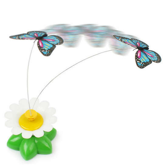 Jouet butterfly pour chat : Hauteur 7 cm