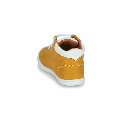GBB - BAMBOU - Jaune