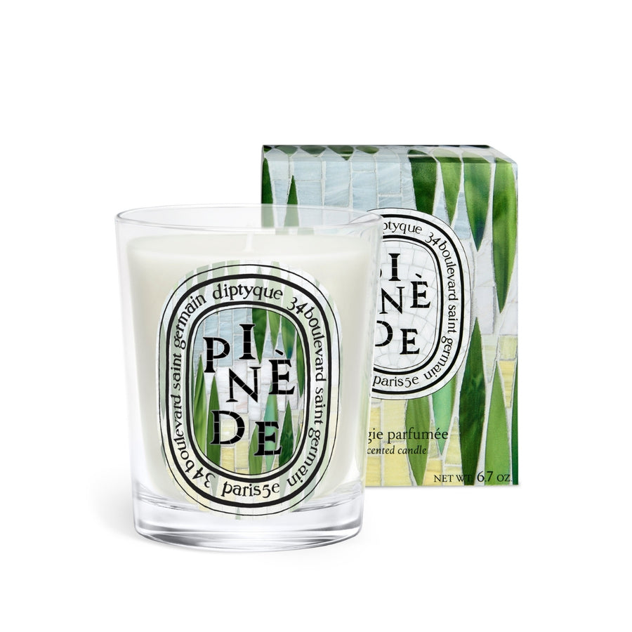 Pinède (Pine Grove) - Classic Candle