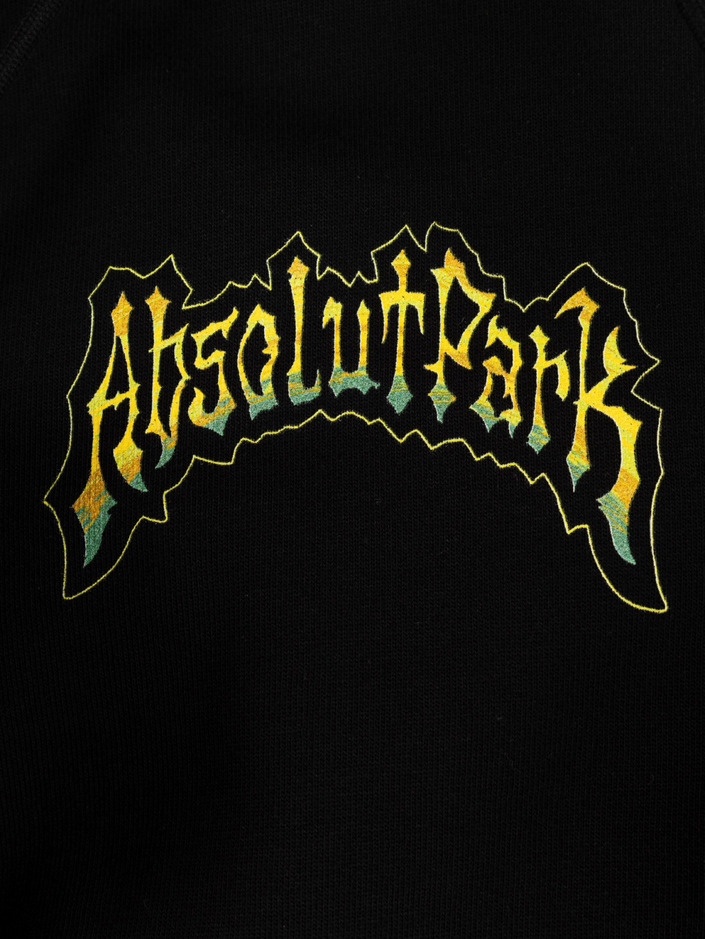 Absolut Park Band Hoodie black