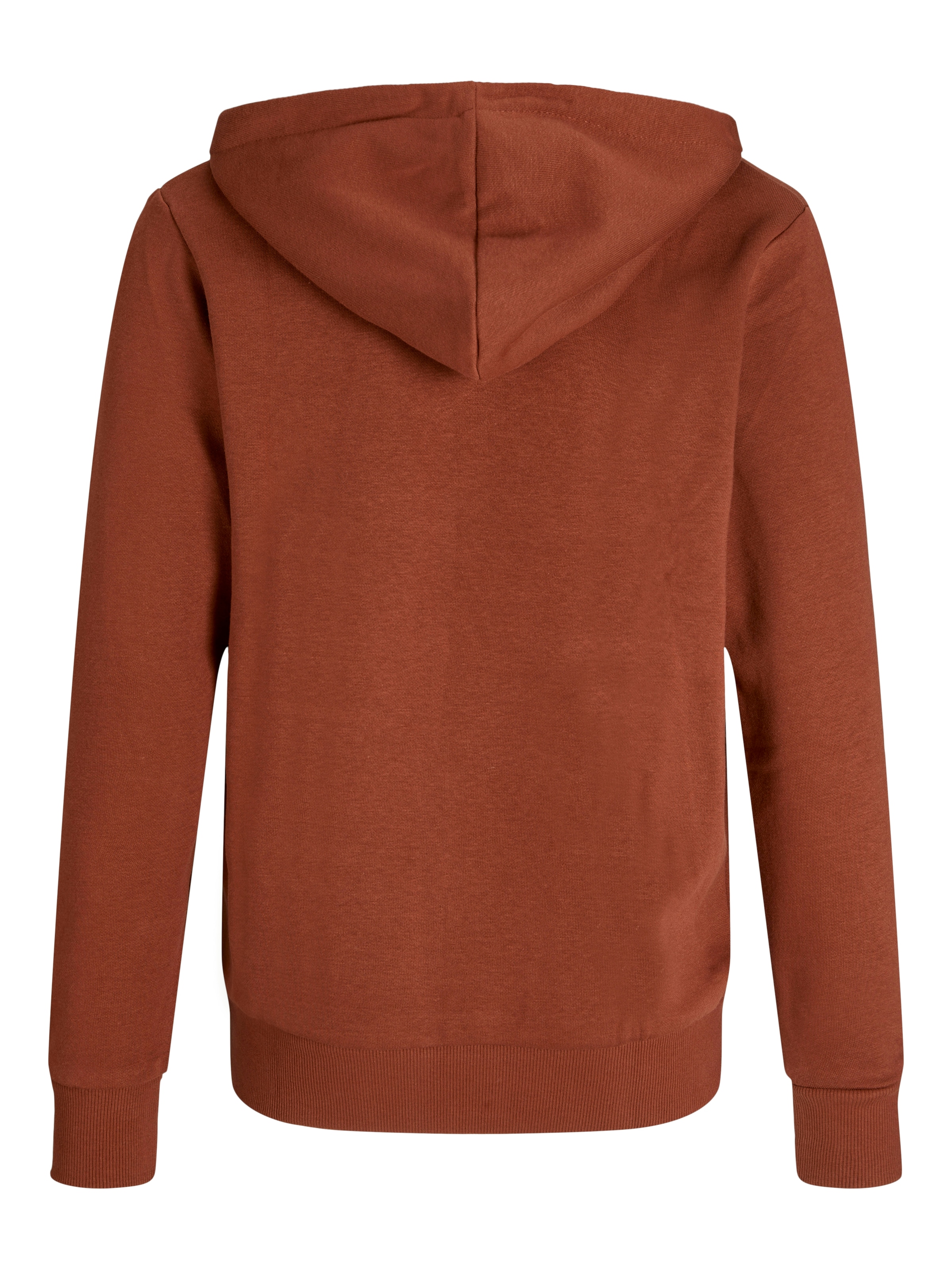 Jack & Jones PlusSize Hoodie »JJECALEB VARSITY SWEAT HOOD NOOS PLS«