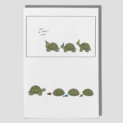 Tortoise Birthday Surprise