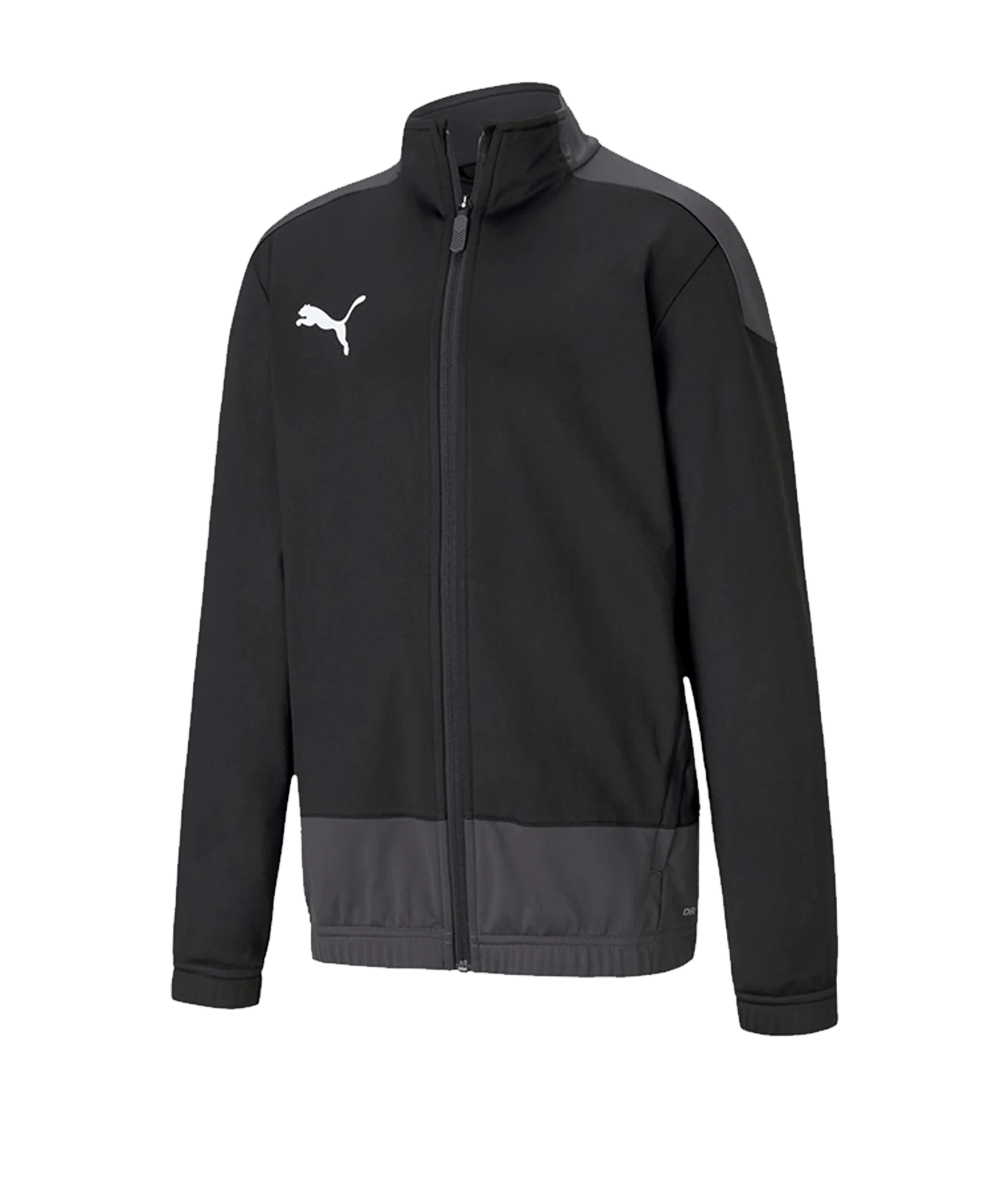 PUMA teamGOAL 23 Training Jacke Kids Schwarz F03