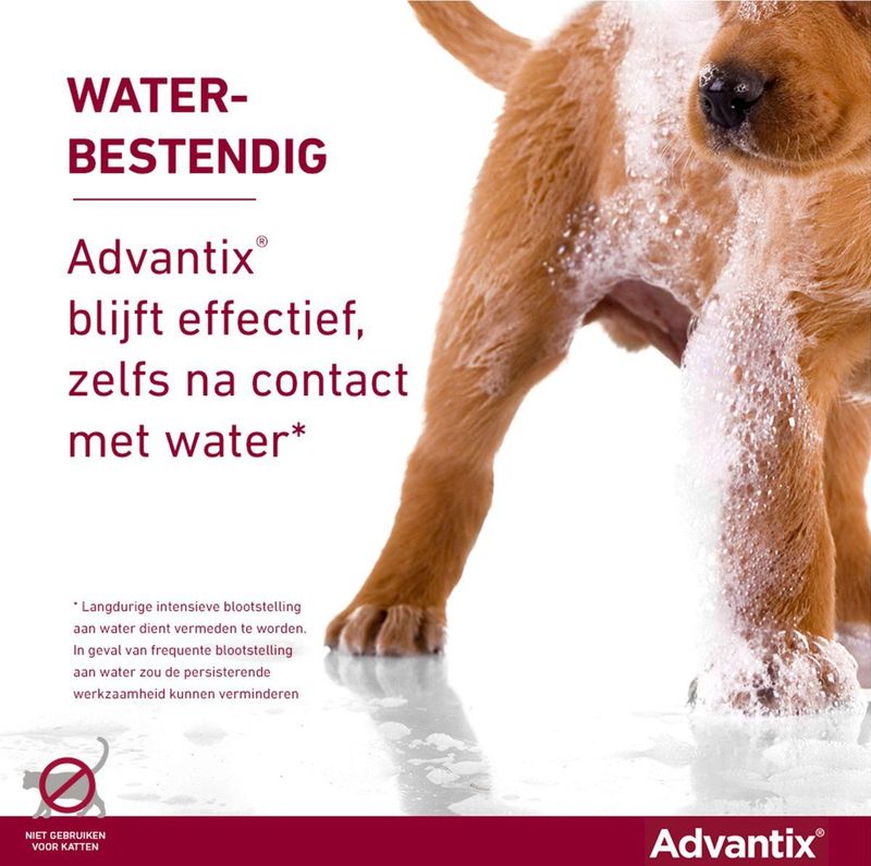 Advantix Spot On 600 Anti Vlooien en Teken Druppels Hond 40 - 60 kg 6 pipetten