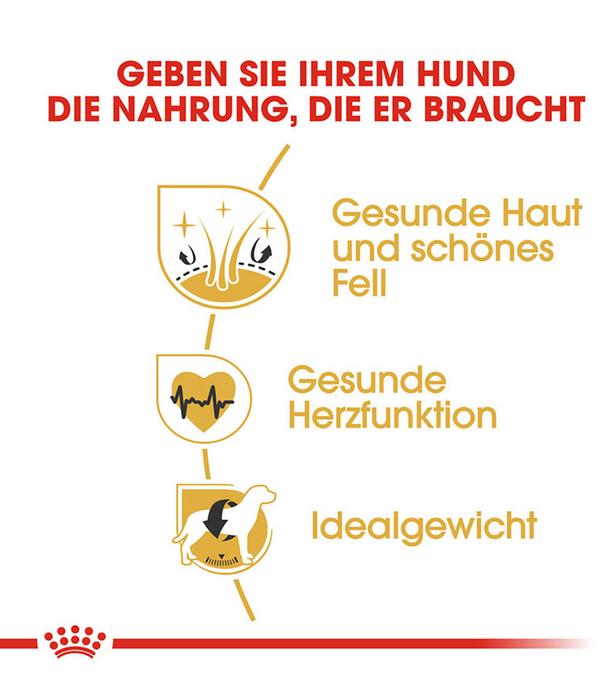 ROYAL CANIN® Trockenfutter für Hunde Golden