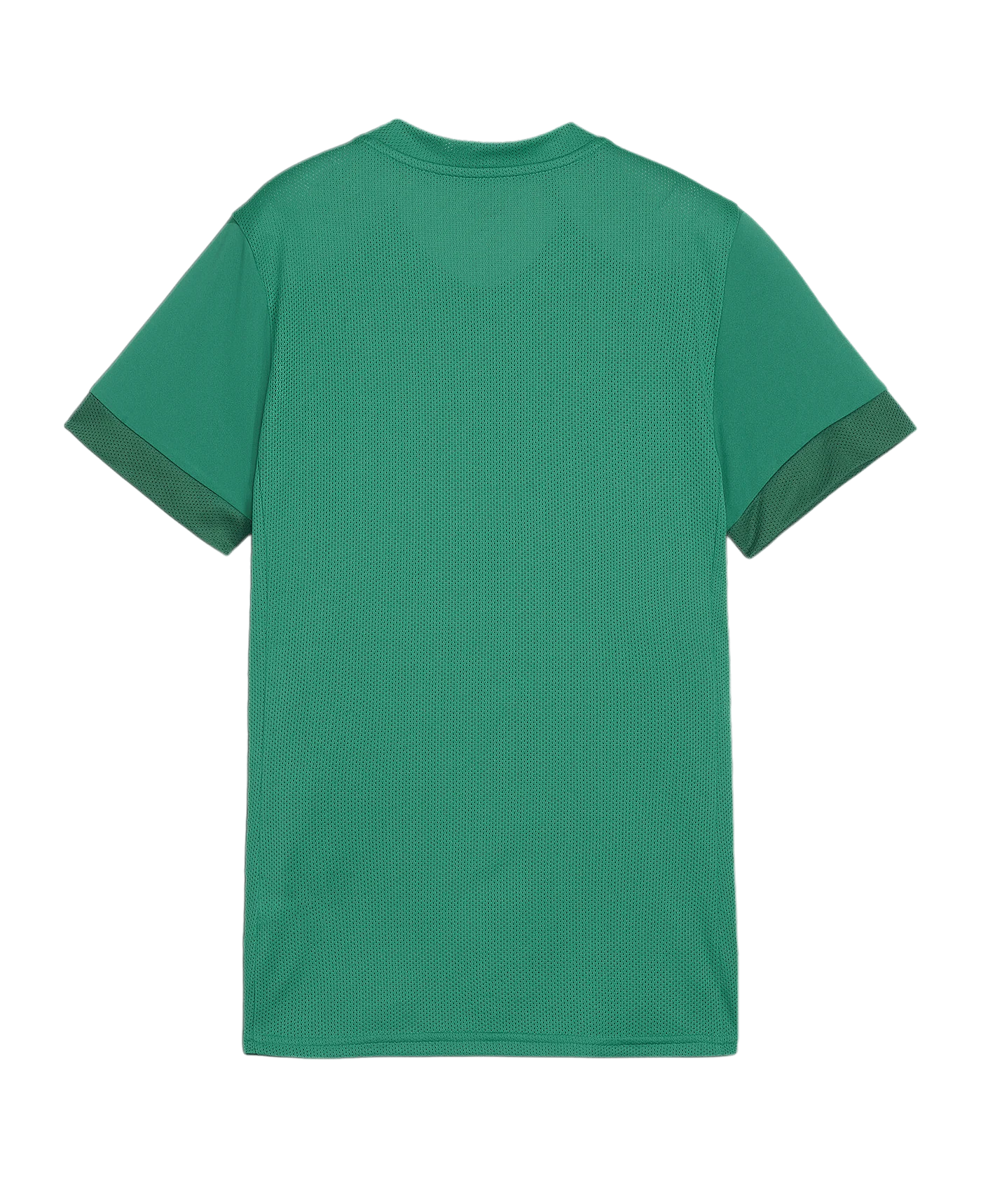 PUMA teamGOAL Matchday Trikot Damen Grün Weiss F05