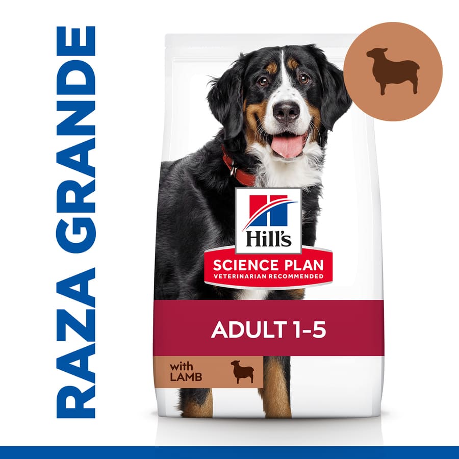 Ração Hill's Science Plan para Cães Adultos de Porte Grande com Cordeiro