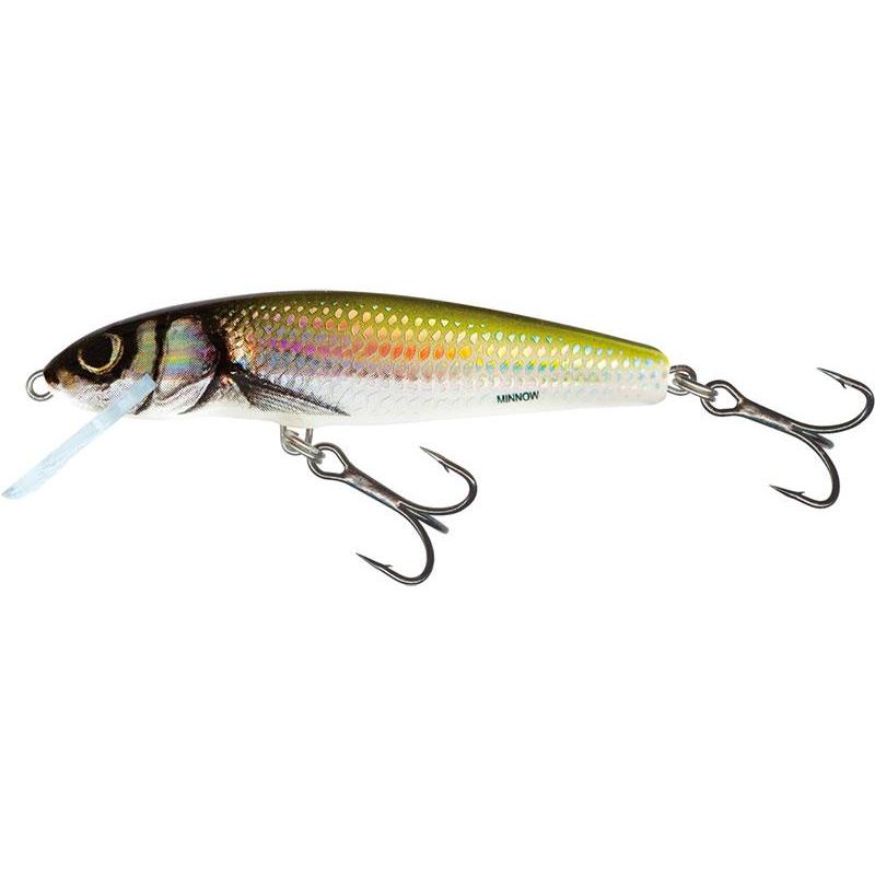 Leurre Coulant Salmo Minnow Sinking - 7Cm