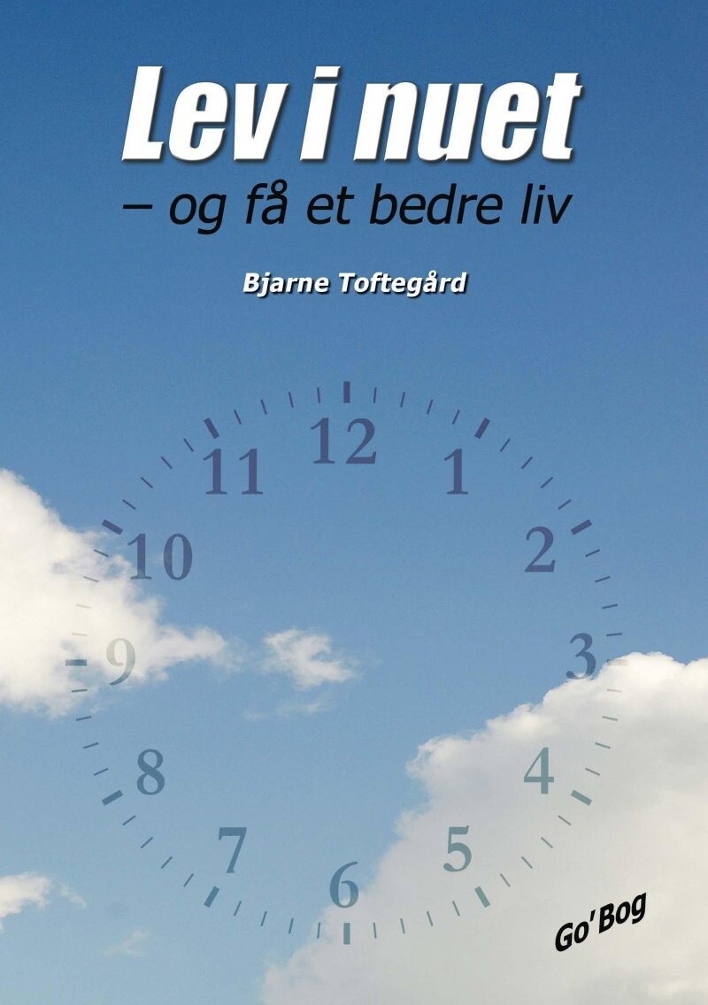 Lev I Nuet - Bjarne Toftegård - Bog