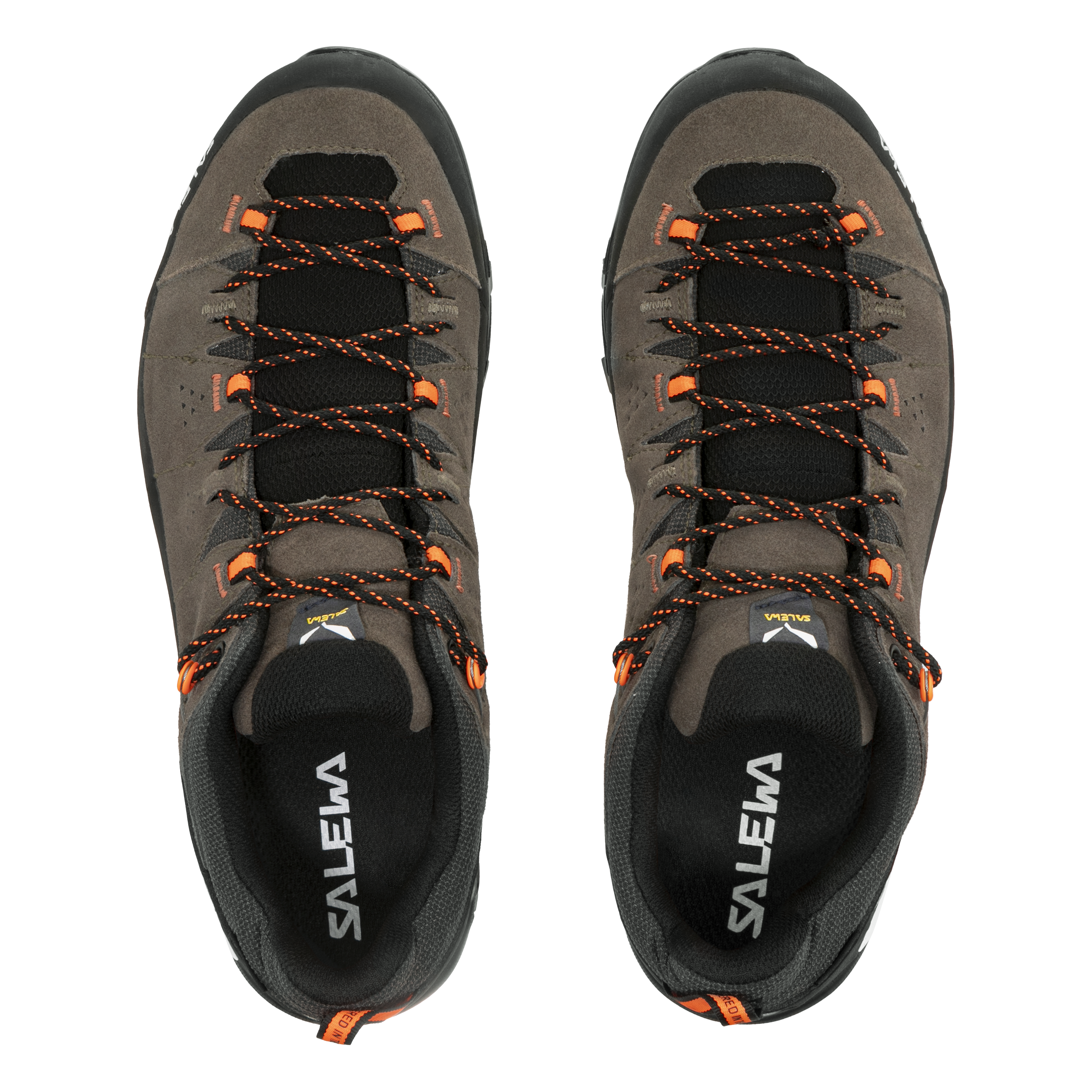 Alp Trainer 2 Gore-Tex® Schuh Herren