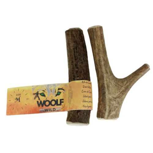 Chifre de veado selvagem Woolf, tamanho G
