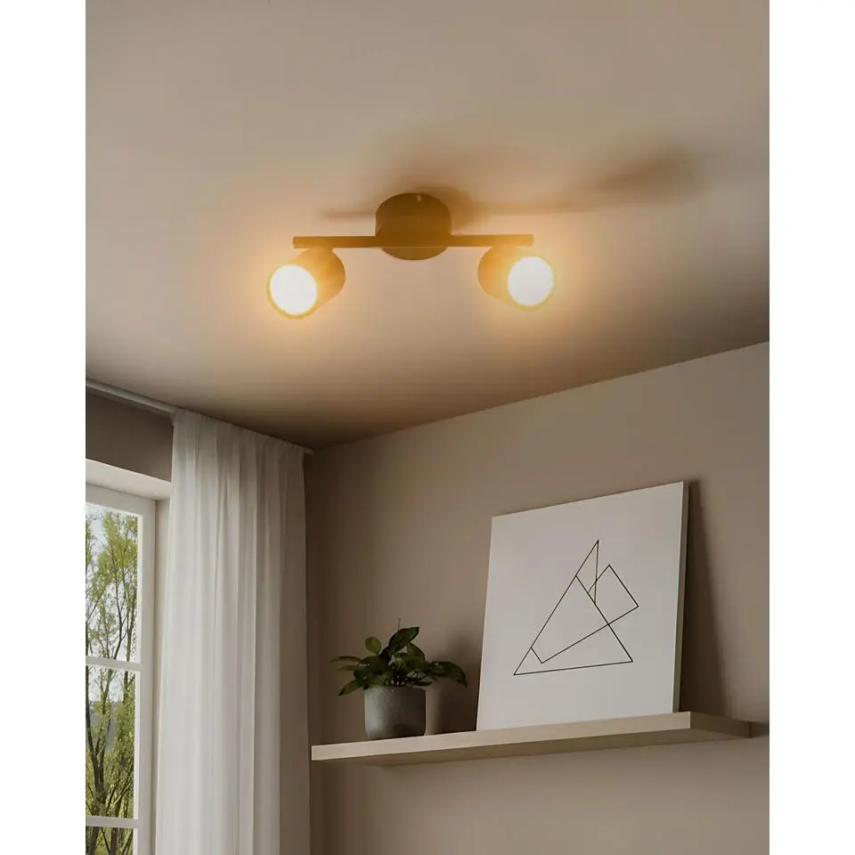 NYANDO - Plafondlamp set van 2 - Zwart - Metaal